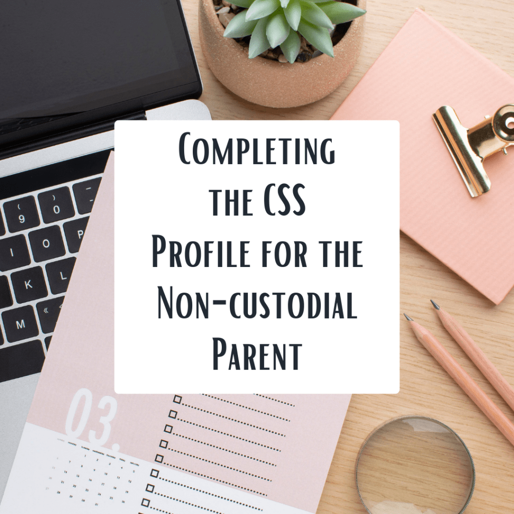 COMPLETING THECSS PROFILE FOR THE NON-CUSTODIAL PARENT