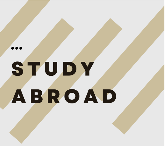 STUDY ABROAD
